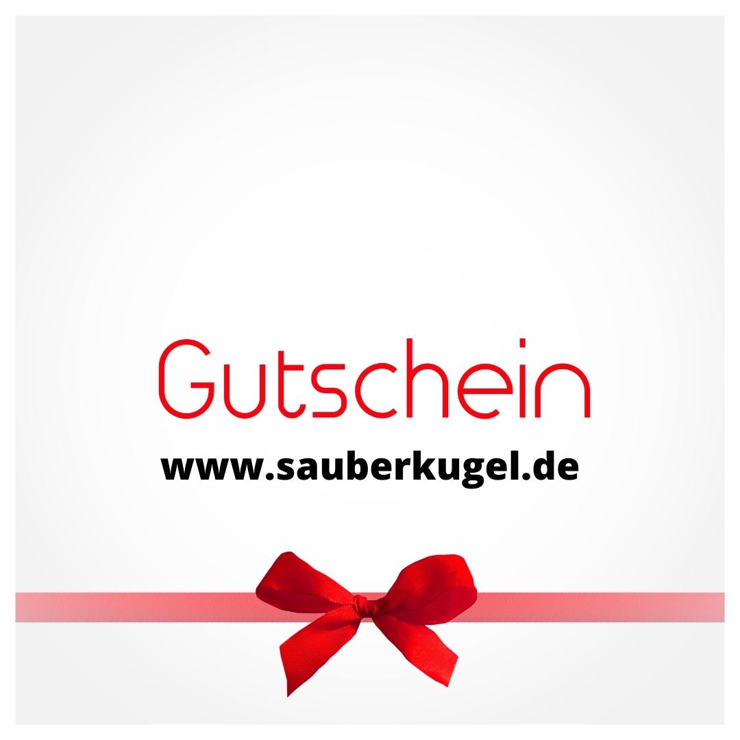 BALLE DE NETTOYAGE - NETTOYEUR DE SAC - BON PAR EMAIL