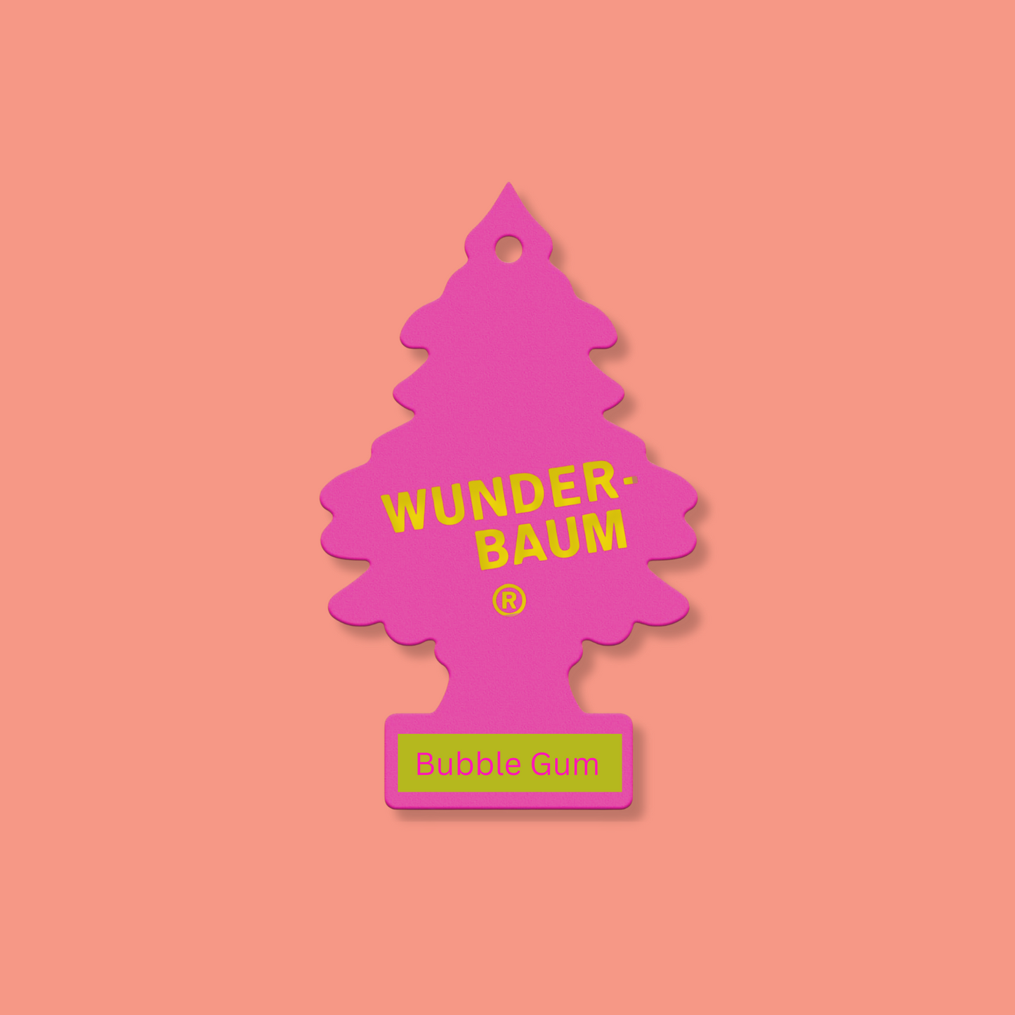 🧼 Saubergeist Starter Pack - jetzt erhältlich - so lange bis leer oder trage dich ein bis wieder welche verfügbar sind!