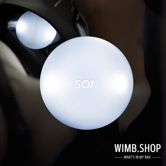 Soi. Lumière de poche - y compris les batteries